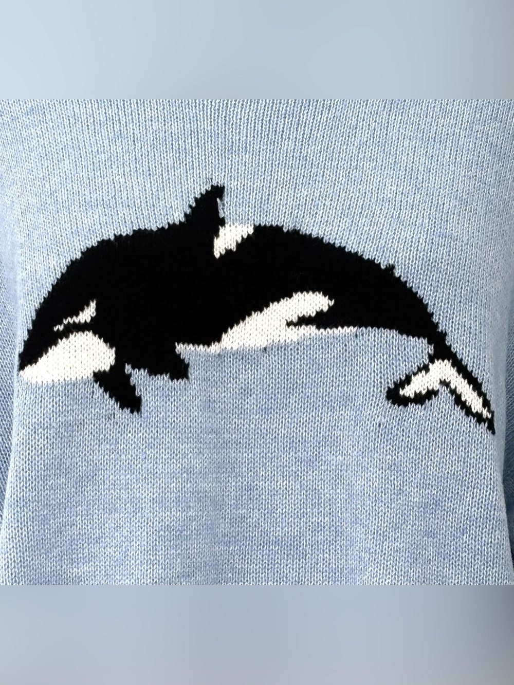 Things Between ‘Whale Then’ Sweater NWT Graphic Orca Long Sleeve Crew Neck L - Picture 4 of 9